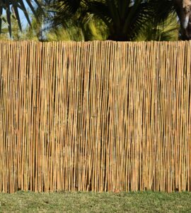 BAMBÚ ENTERO NACIONAL