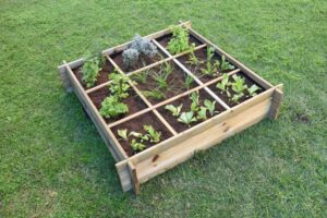 HUERTO URBANO 9 DEPARTAMENTOS