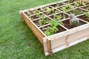 HUERTO URBANO 16 DEPARTAMENTOS