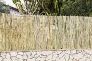 CAÑIZO PARTIDO NACIONAL