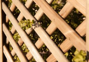 PANEL CELOSÍA RECTO